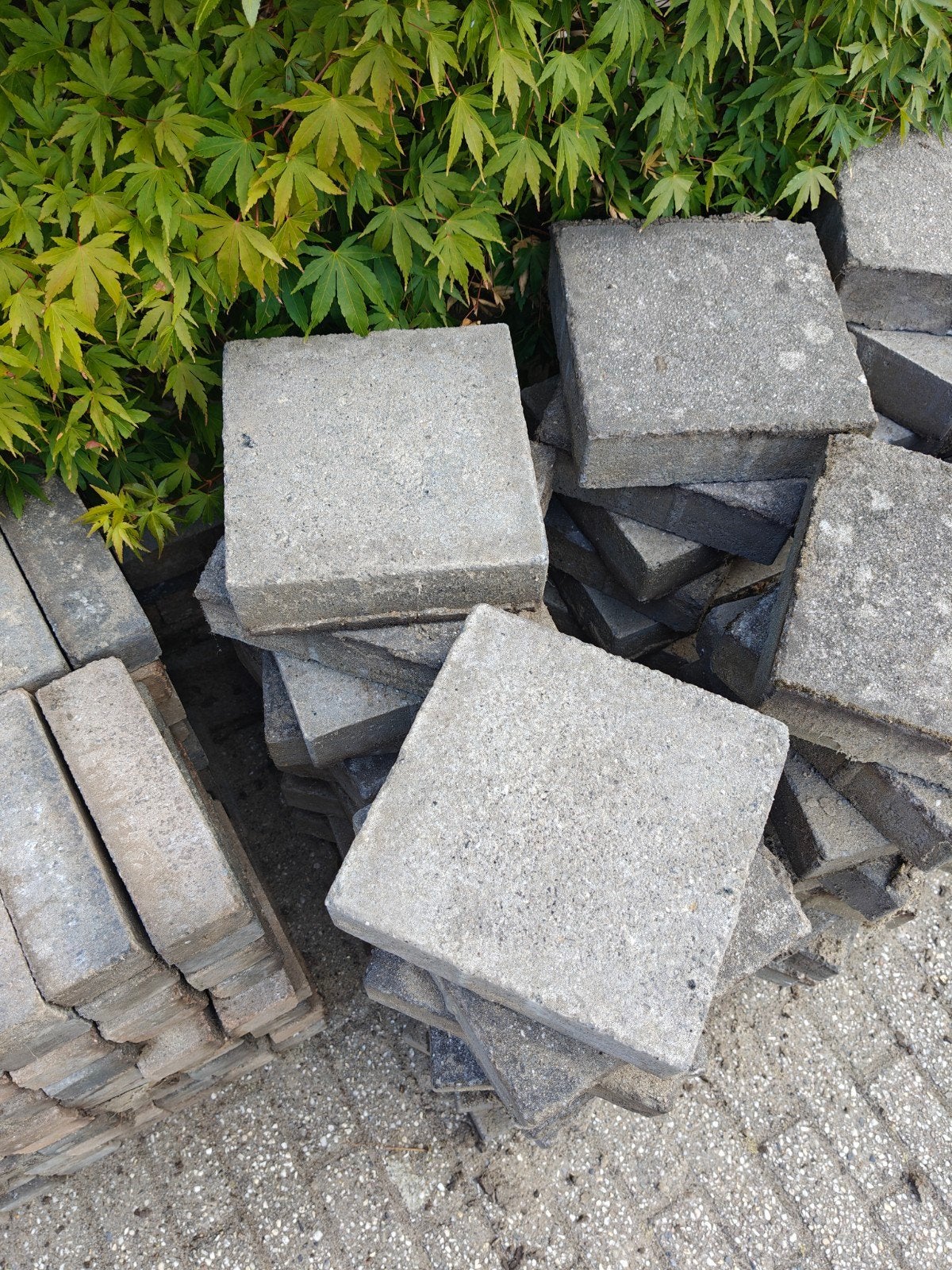 Gratis af te halen in Amersfoort: klinkers en tegels, Tuin en Terras, Tegels en Klinkers, Ophalen, Gebruikt, Beton, Klinkers