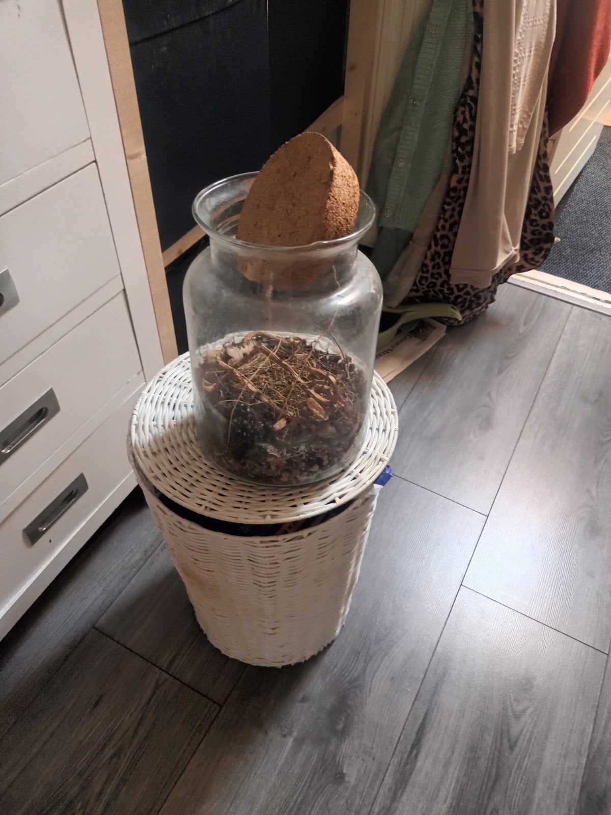 Glazen pot met kurken deksel, Ophalen of Verzenden, Zo goed als nieuw, Glas, Modern