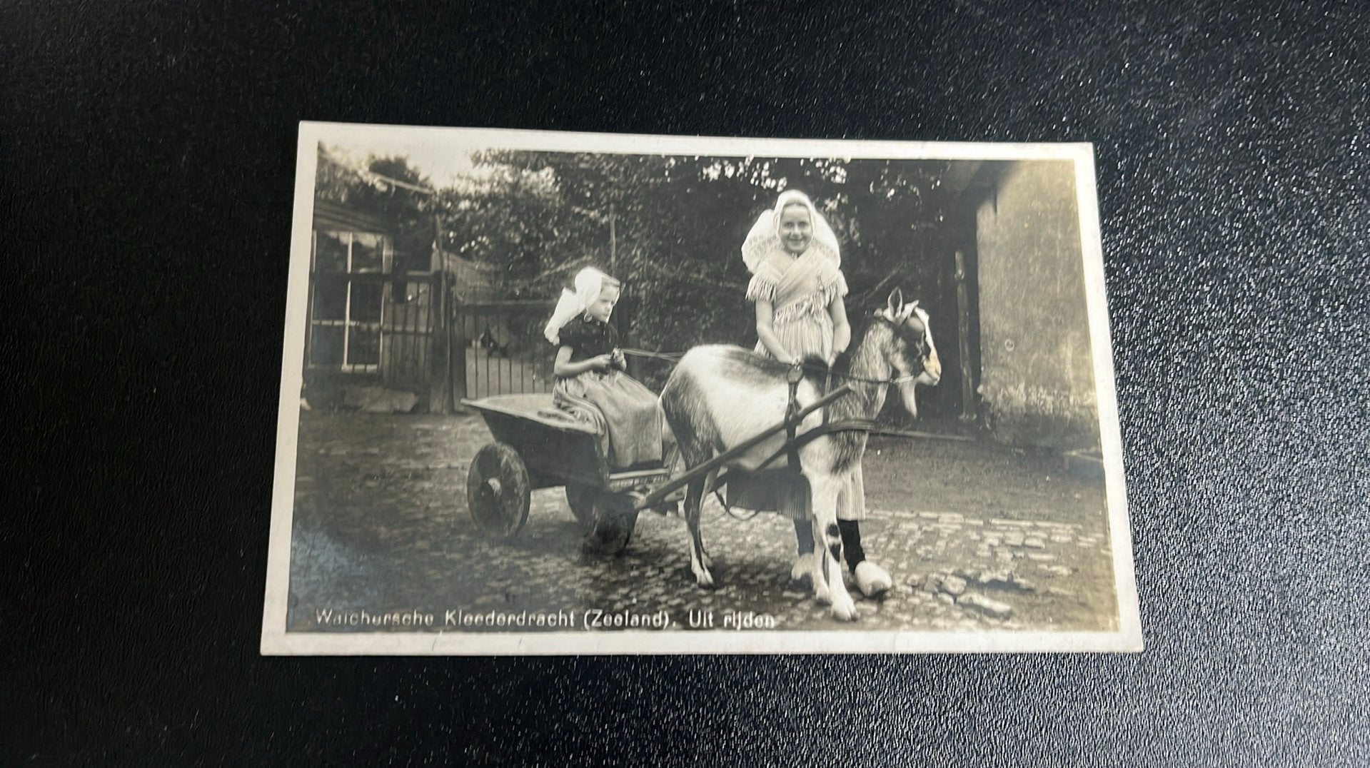 Zeeuwse kinderen met bokkar 1938, Ophalen of Verzenden, 1920 tot 1940, Gelopen, Overige thema's