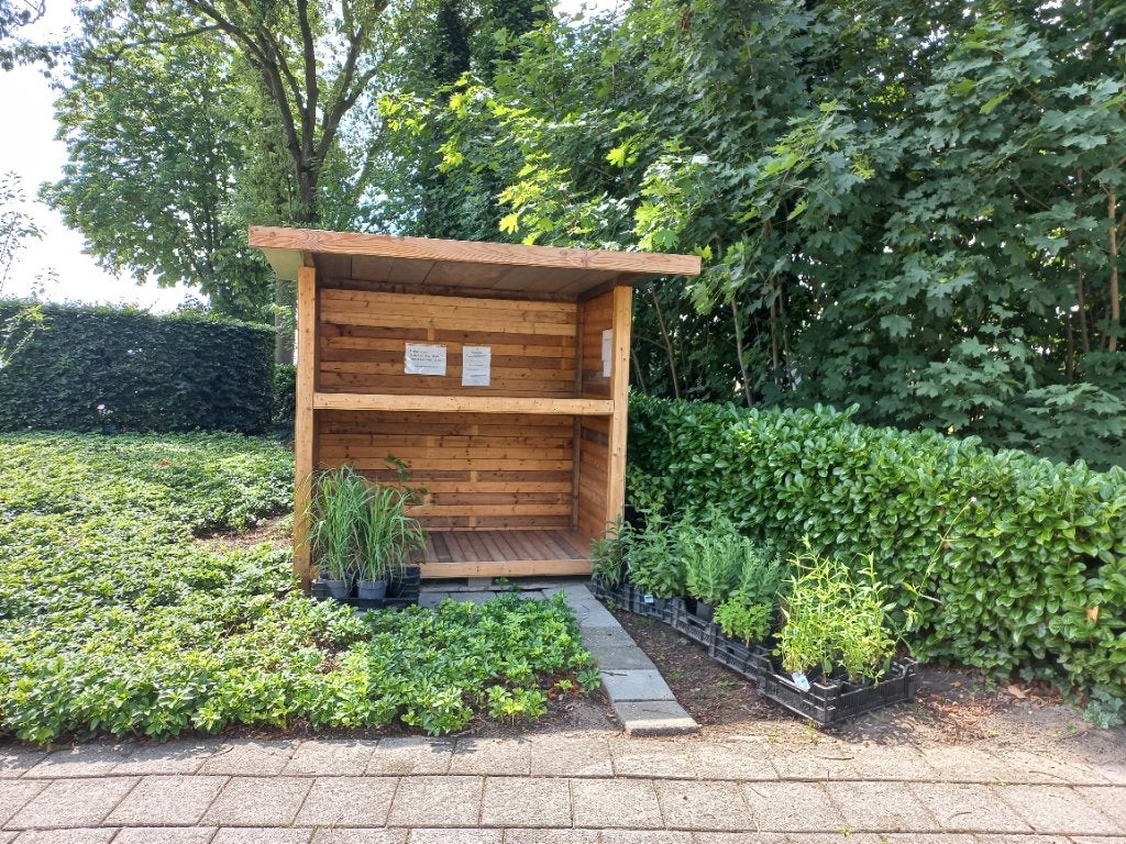 Stekjes/plantjes te koop. Kraam aan de weg. Plukboeketten, Tuin en Terras, Ophalen, Overige soorten, Volle zon