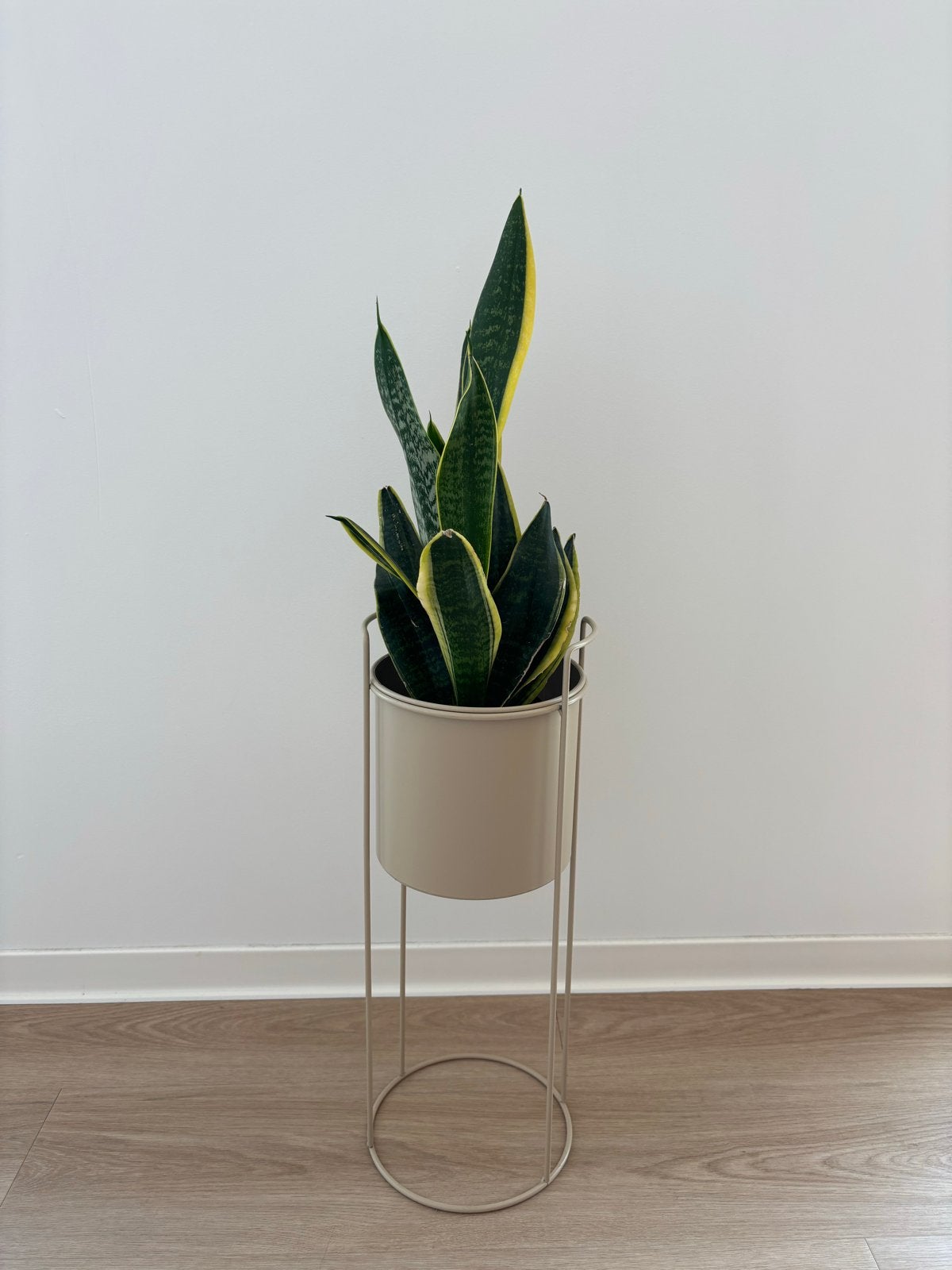 plantenpot met standaard - beige (excl. plant), Ophalen, Rond, Binnen, Zo goed als nieuw