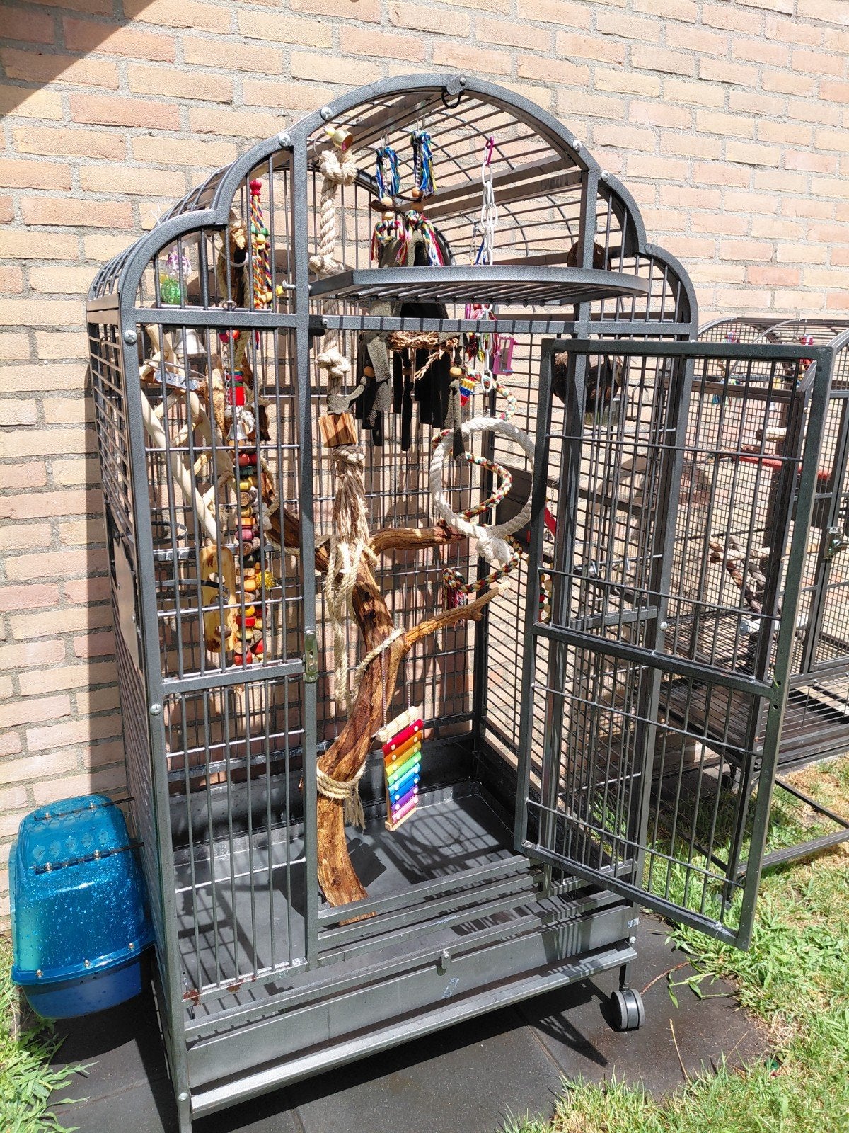 Grote papagaaienkooi met toebehoren, Dieren en Toebehoren, Vogels | Hokken en Kooien, Ophalen