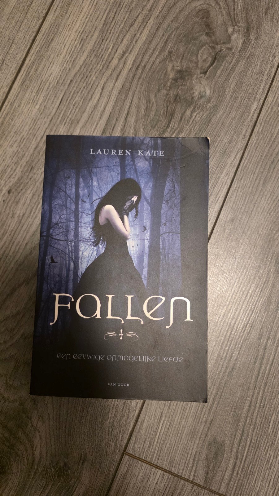 Lauren Kate - Fallen, Ophalen of Verzenden, Zo goed als nieuw, Lauren Kate