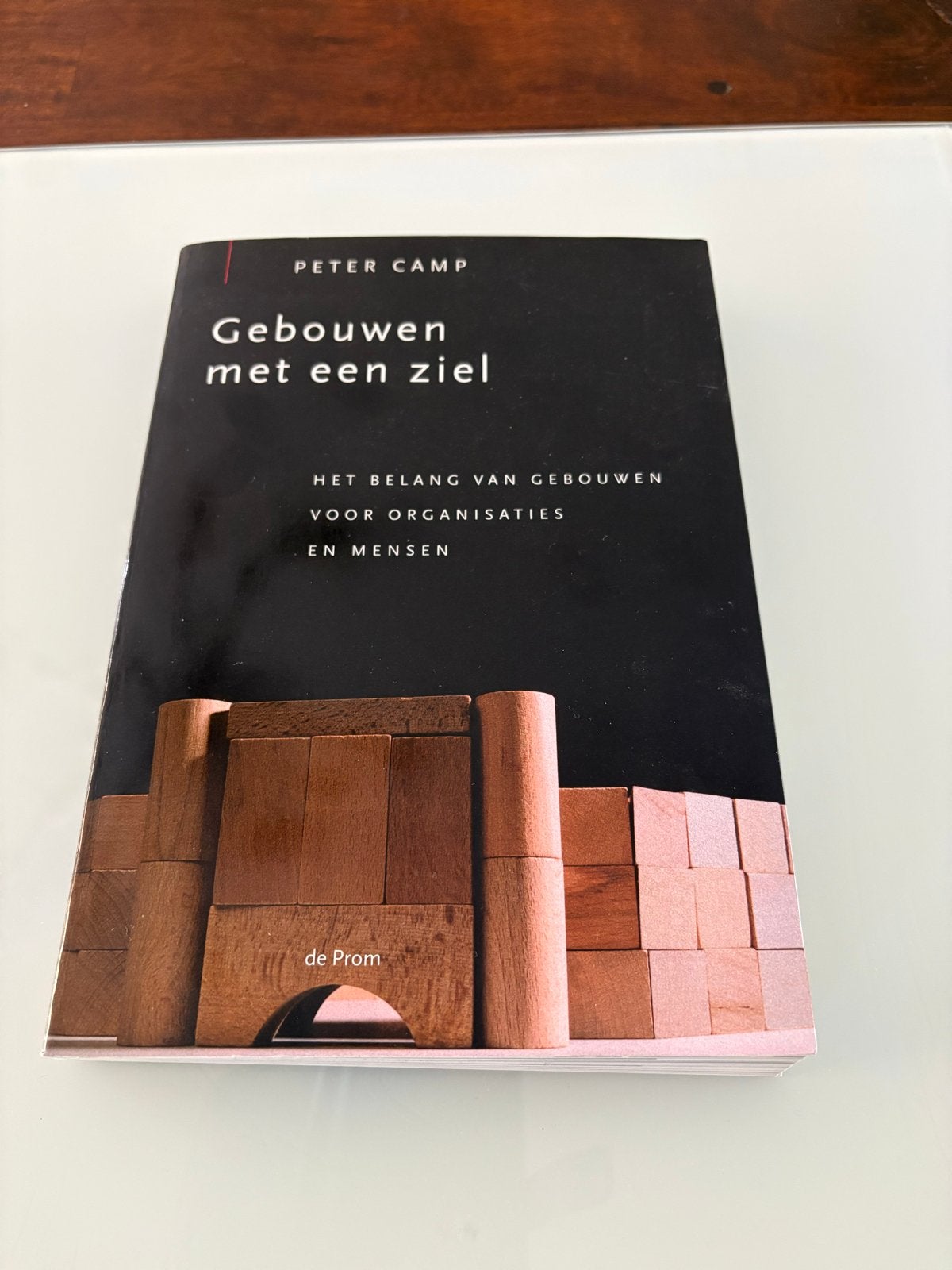 Gebouwen met een ziel - Peter Camp, Ophalen of Verzenden, Zo goed als nieuw, Nederland