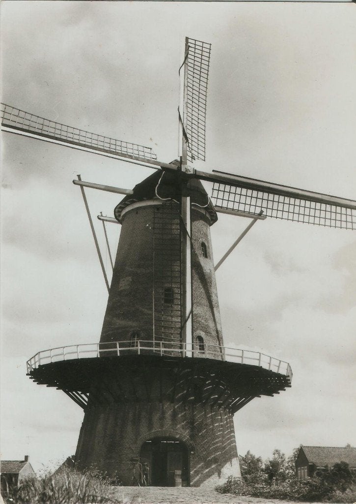 Etten - Leur Bisschops - Molen ca. 1970 groot formaat, Ophalen of Verzenden, 1960 tot 1980, Ongelopen, Noord-Brabant