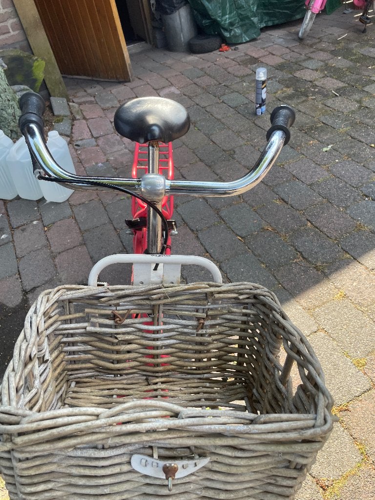 Meisjes roze  transport fiets alpina cargo, Ophalen, Terugtraprem, Gebruikt, Alpina
