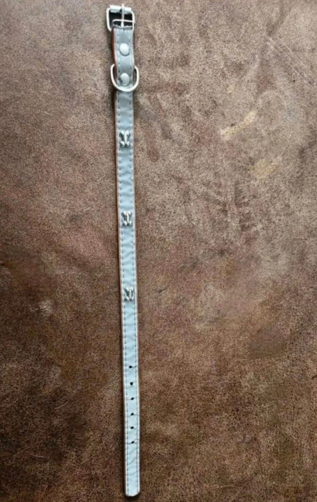 NIEUWE Grijs Leren honden halsband Zilveren botjes S/38cm, Ophalen of Verzenden, Nieuw