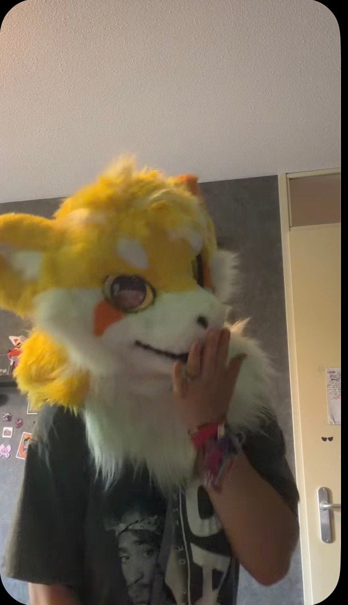 Fursuit for trade/sale, Verzenden, Gebruikt