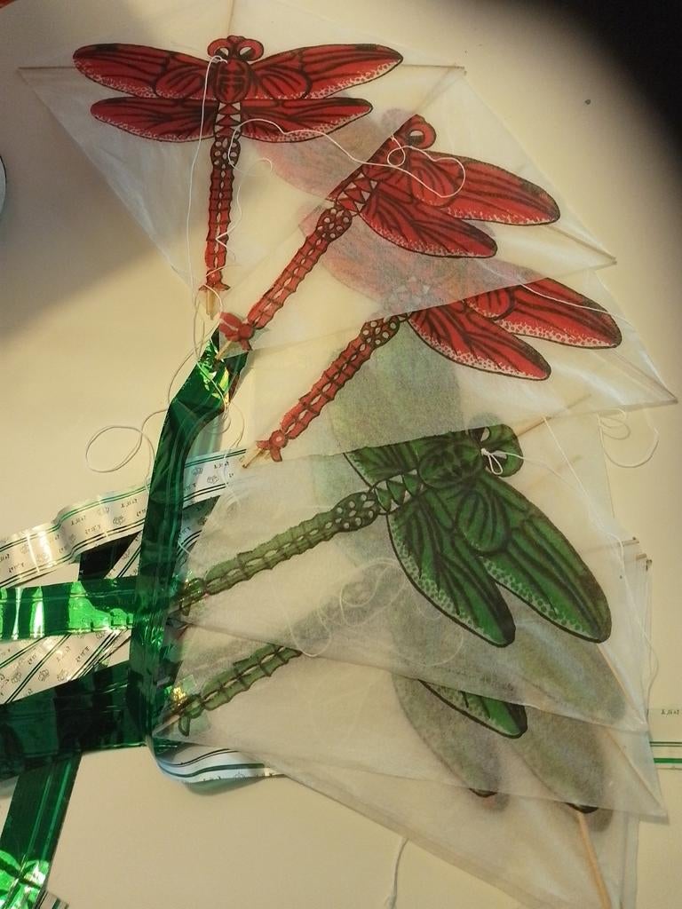Vliegerset Libellen (rood en groen), Ophalen of Verzenden, Gebruikt, Eenlijns, Vlieger