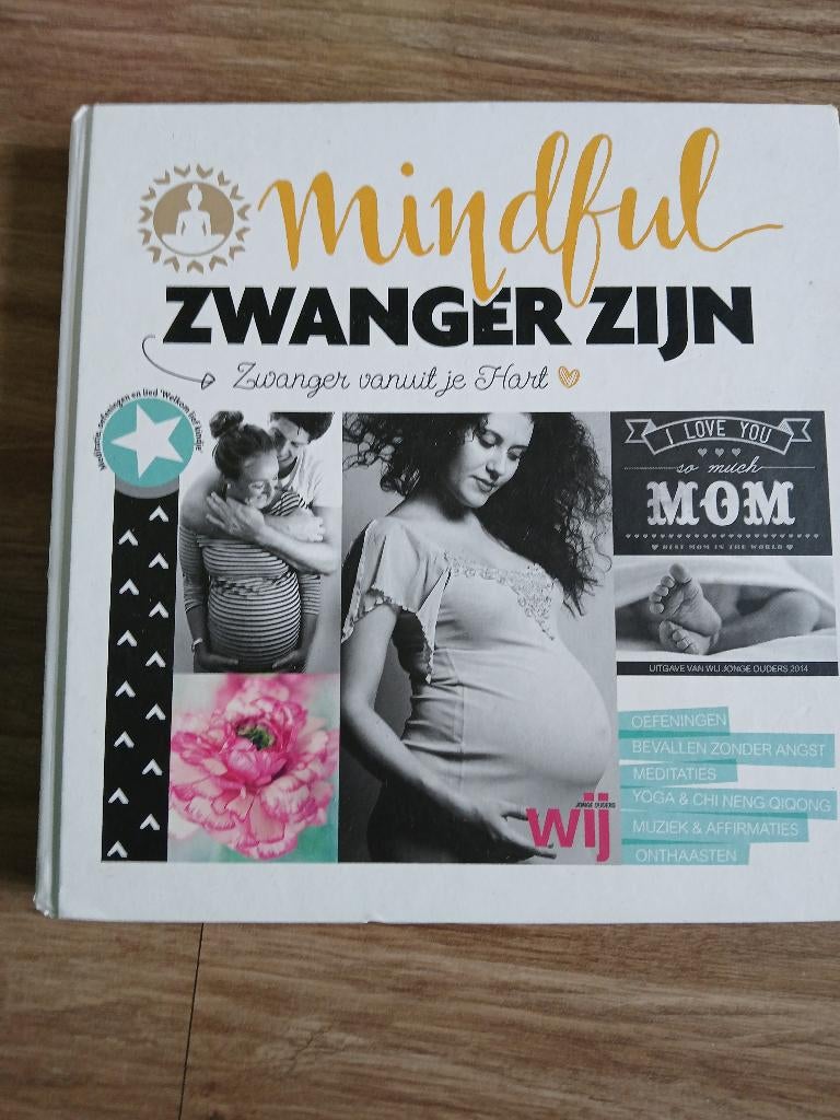 Boek mindful zwanger zijn, Ophalen, Zo goed als nieuw, Zwangerschap en Bevalling