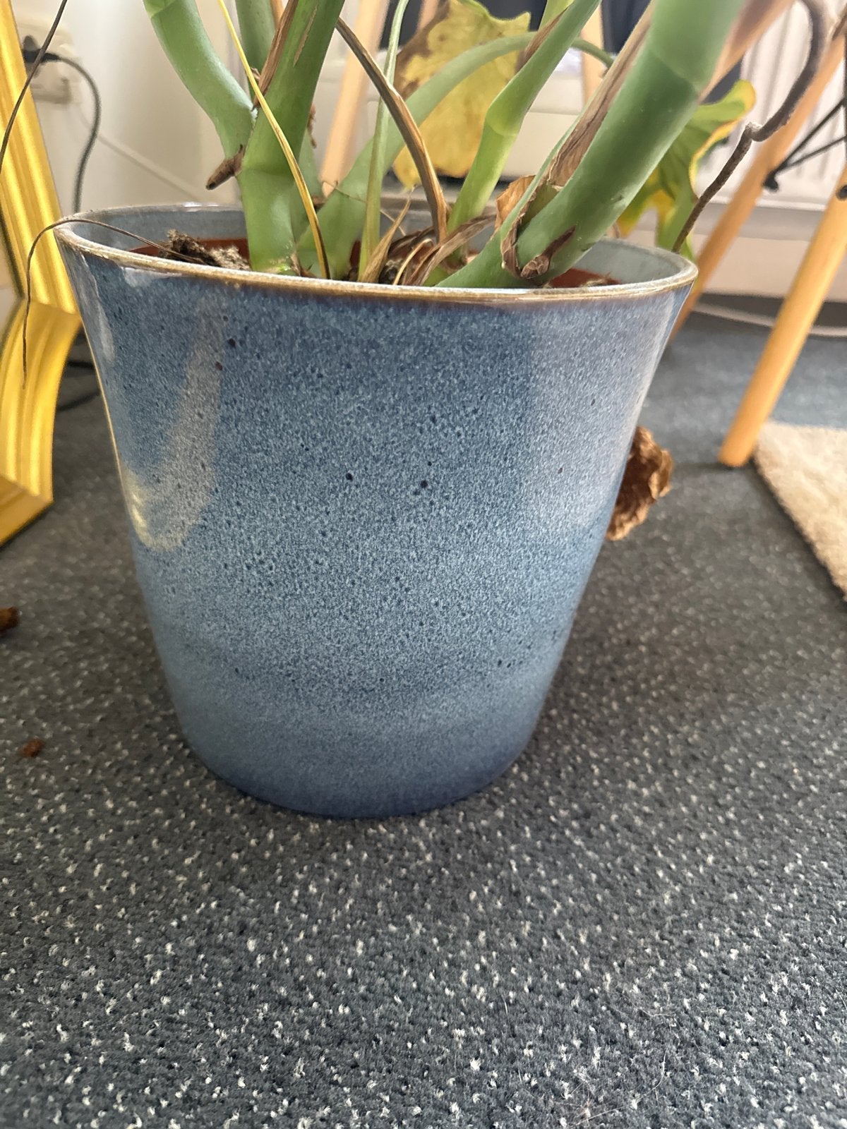 Blauwe bloempot met gespikkeld design, Gebruikt, Rond, Binnen, Minder dan 40 cm