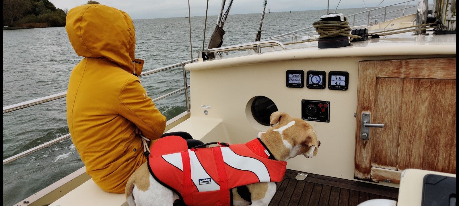 Honden zwemvest Finding Nemo large, Ophalen of Verzenden, Zo goed als nieuw