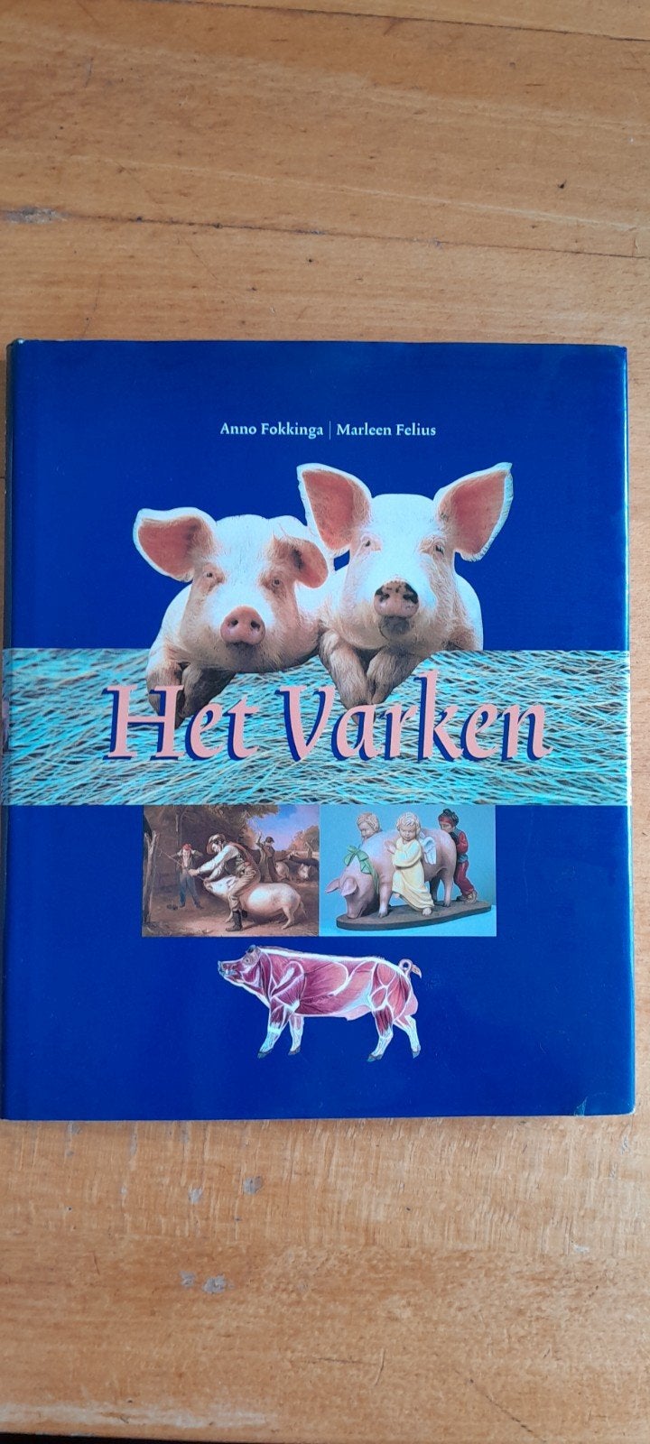 Het Varken - Boek over varkens en varkenshouderij, Ophalen of Verzenden, Gelezen, Vee, Anno Fokkinga, Marleen Felius