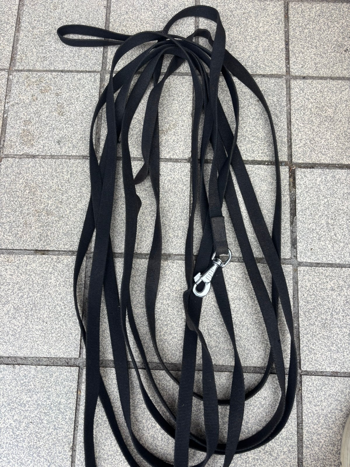 Hondenriem / trainingsriem / sleepriem ca 10m, Dieren en Toebehoren, Ophalen of Verzenden, Zo goed als nieuw