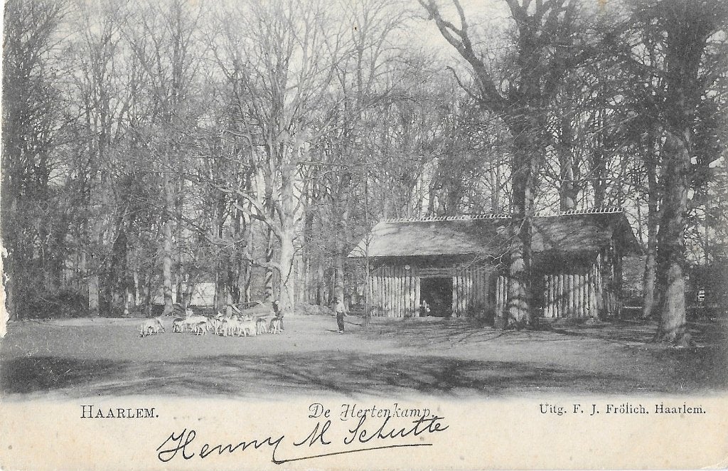 AK Haarlem - Hertenkamp, Verzenden, Voor 1920, Gelopen, Noord-Holland
