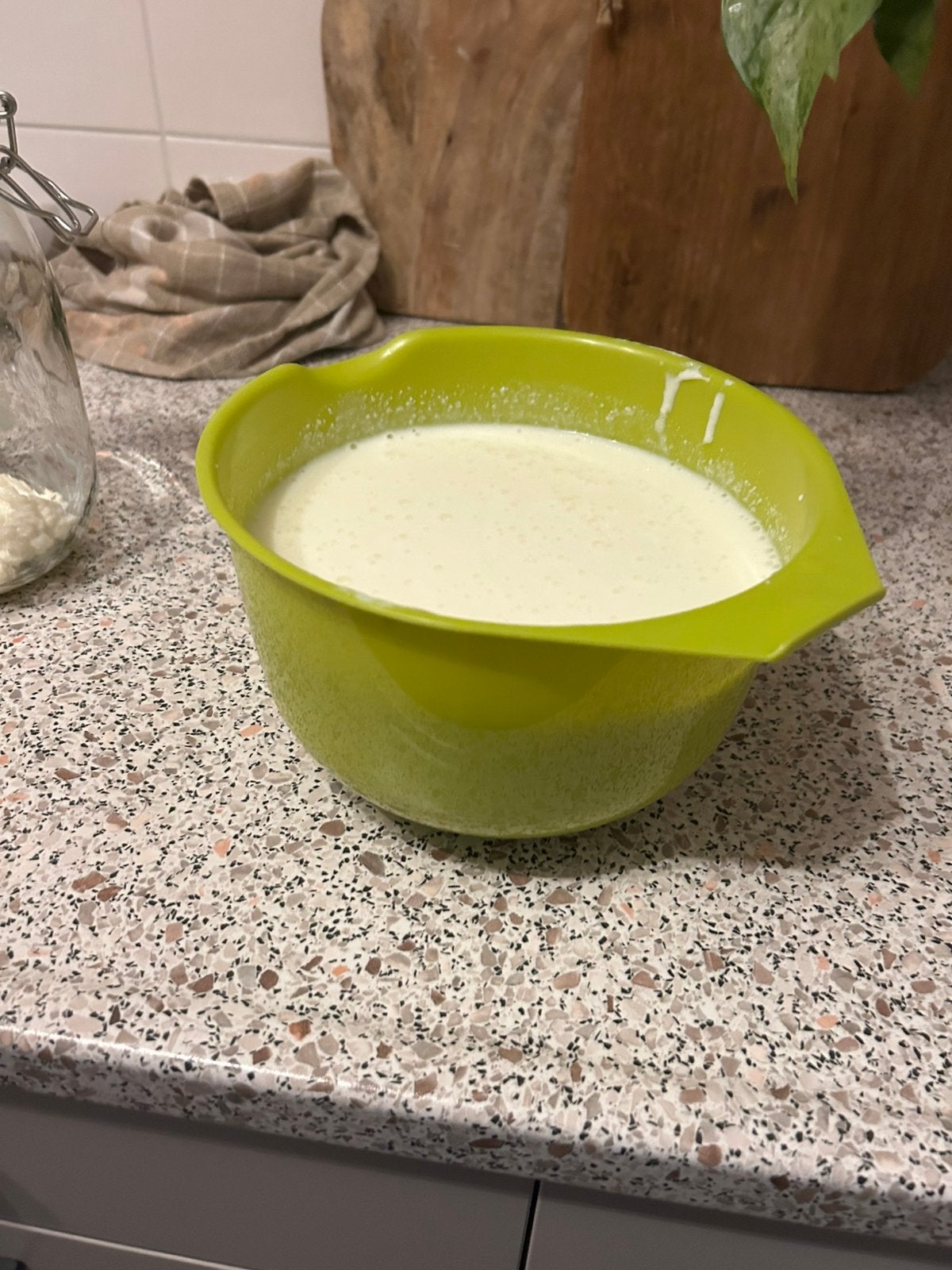 Melkkefir korrels, Ophalen, Zo goed als nieuw, Overige typen
