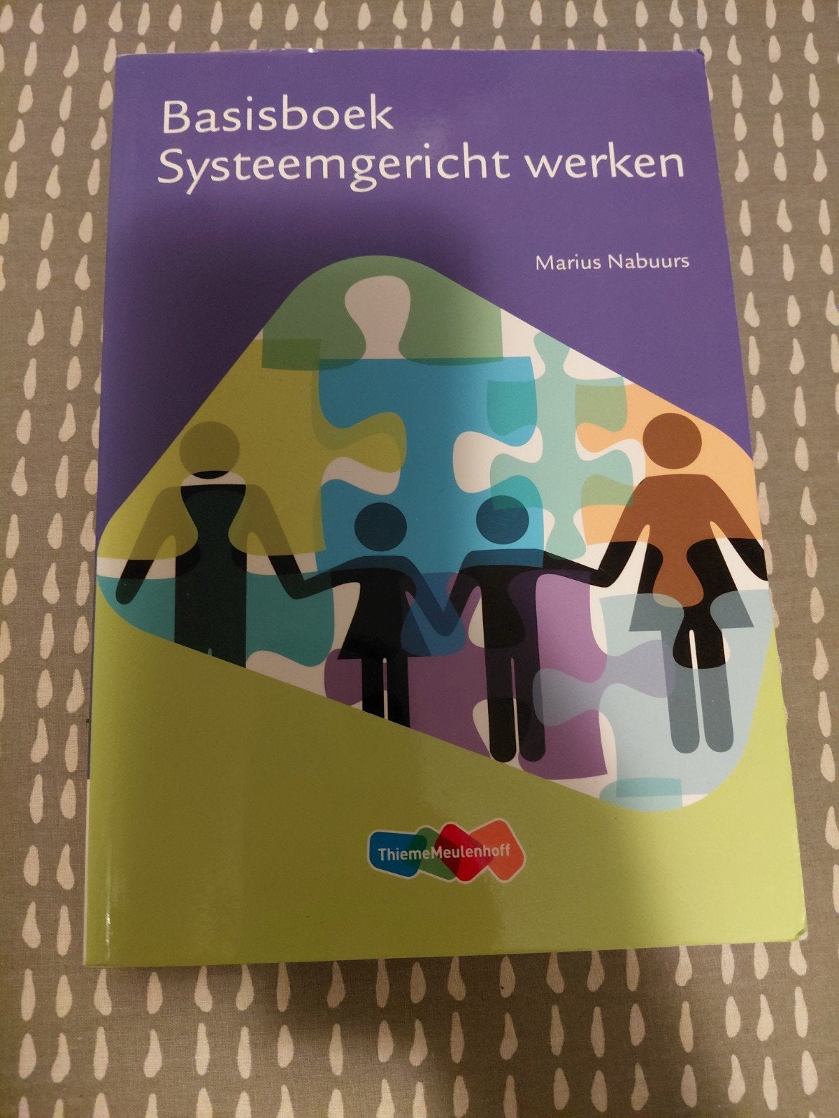 Marius Nabuurs - Systeemgericht werken, Ophalen of Verzenden, Zo goed als nieuw, Marius Nabuurs, Nederlands
