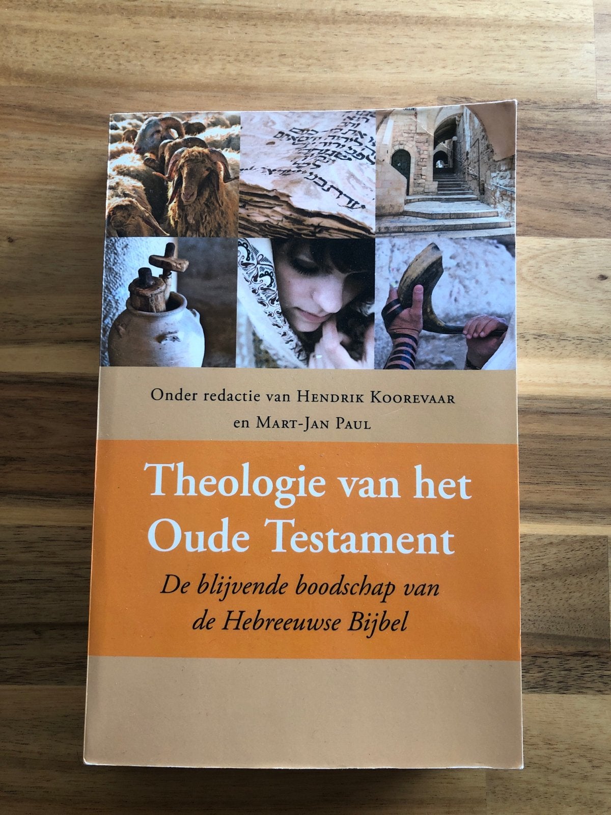 Theologie van het Oude Testament, Ophalen of Verzenden, Gelezen, Christendom | Protestants