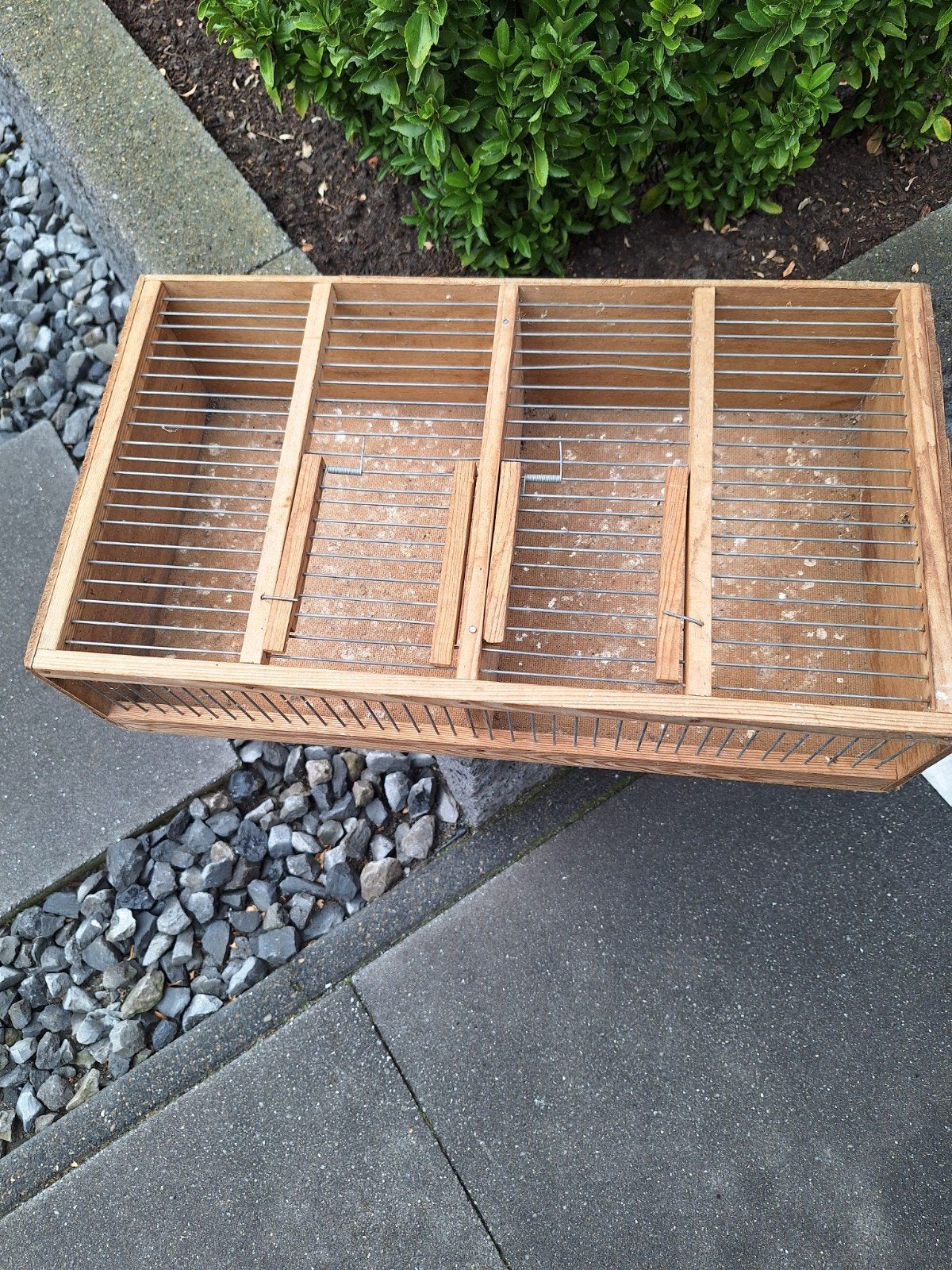 Te koop  Vogel vervoerskooitje., Meerdere dieren, Parkiet