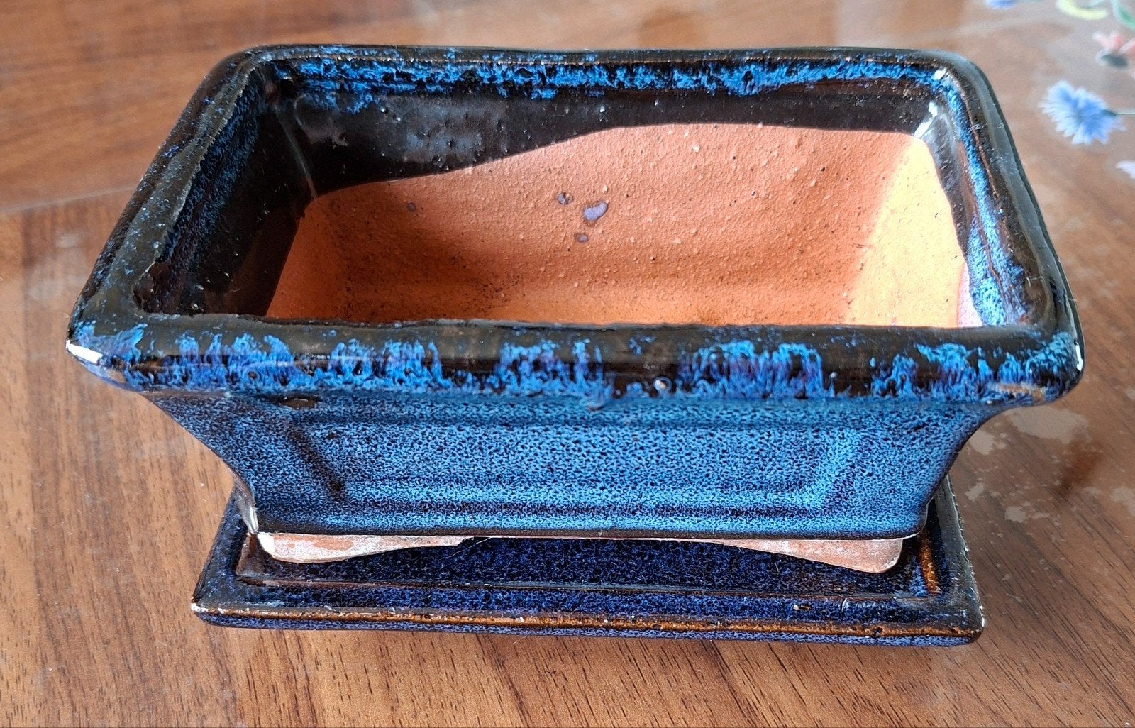 Blauwe bonsaipot met schotel - Keramiek, Overige materialen, Gebruikt, Minder dan 30 cm, Minder dan 60 cm