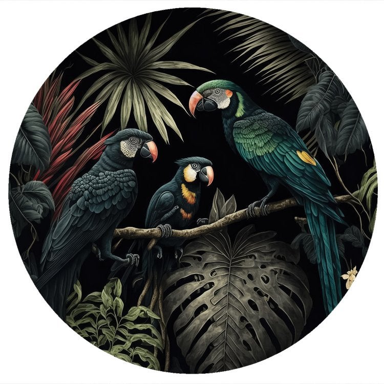 Papegaaien in de jungle behangcirkel, Fotobehang4you, Verzenden, Fotobehang
