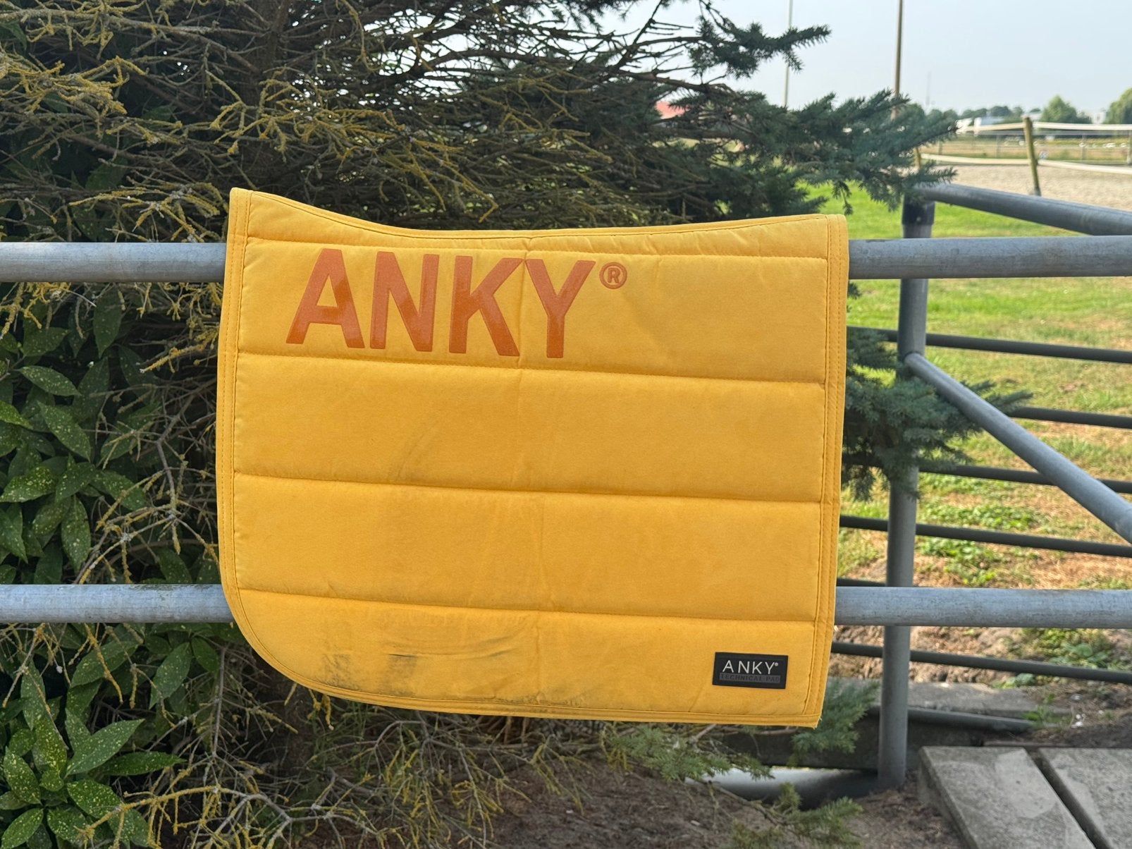 Anky dekje geel full dresuur, Dieren en Toebehoren, Ophalen of Verzenden, Zo goed als nieuw