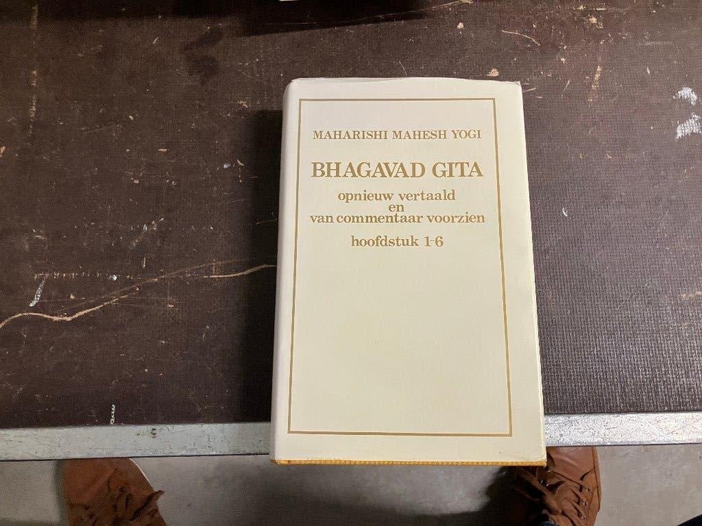 bhagavad gita wijsheid vrijheid mens, Achtergrond en Informatie, Verzenden, Zo goed als nieuw, Overige onderwerpen