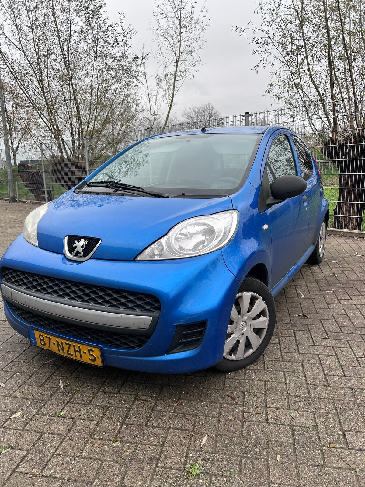 Peugeot 107, Ophalen, Nieuw, Peugeot, Deur
