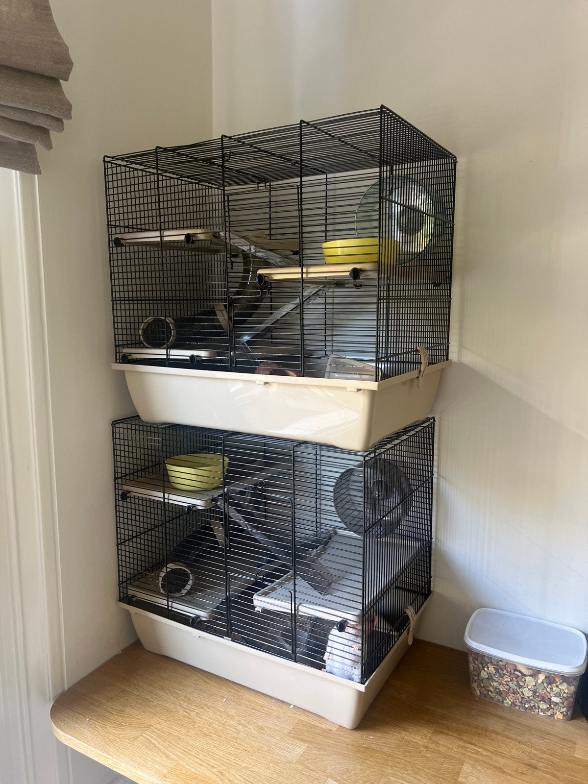 2 hamsters, Ophalen of Verzenden
