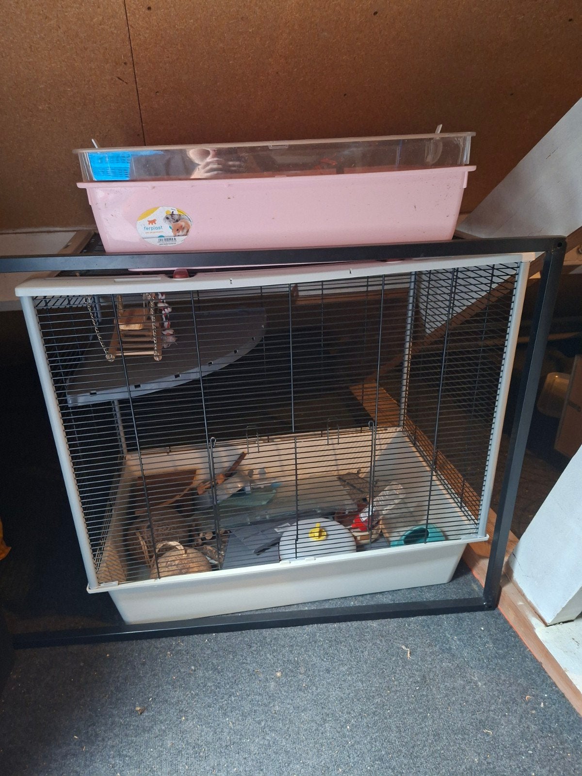 hamsterkooi of frettenkooi, Ophalen