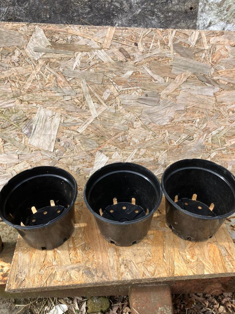800 bloempotten plantenbak container 3 liter zgan, Ophalen, Kunststof, Rond, Minder dan 40 cm