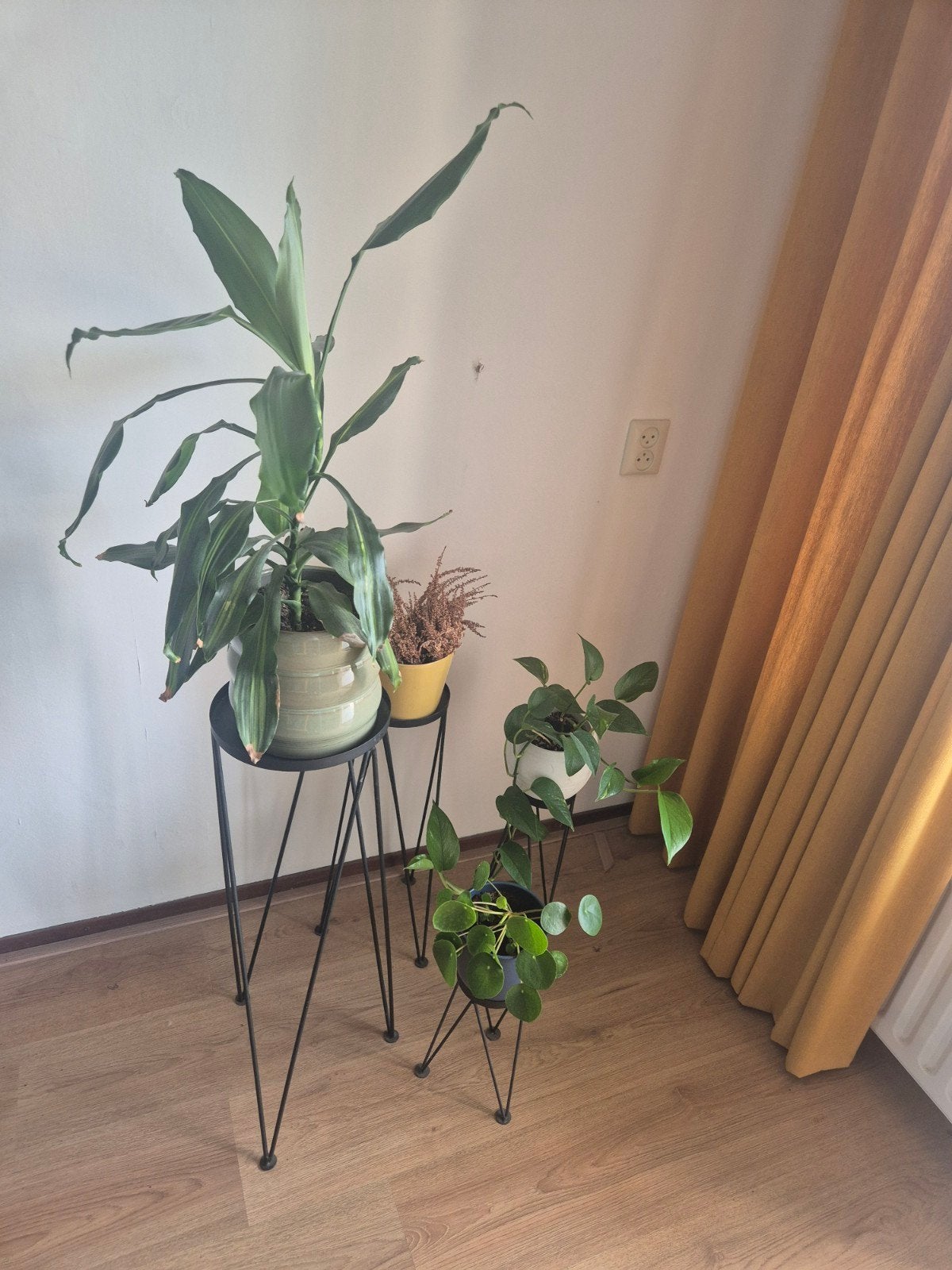 Planten, potten en leuke tafeltjes!, Huis en Inrichting, Woonaccessoires | Zuilen en Pilaren, Ophalen, Gebruikt