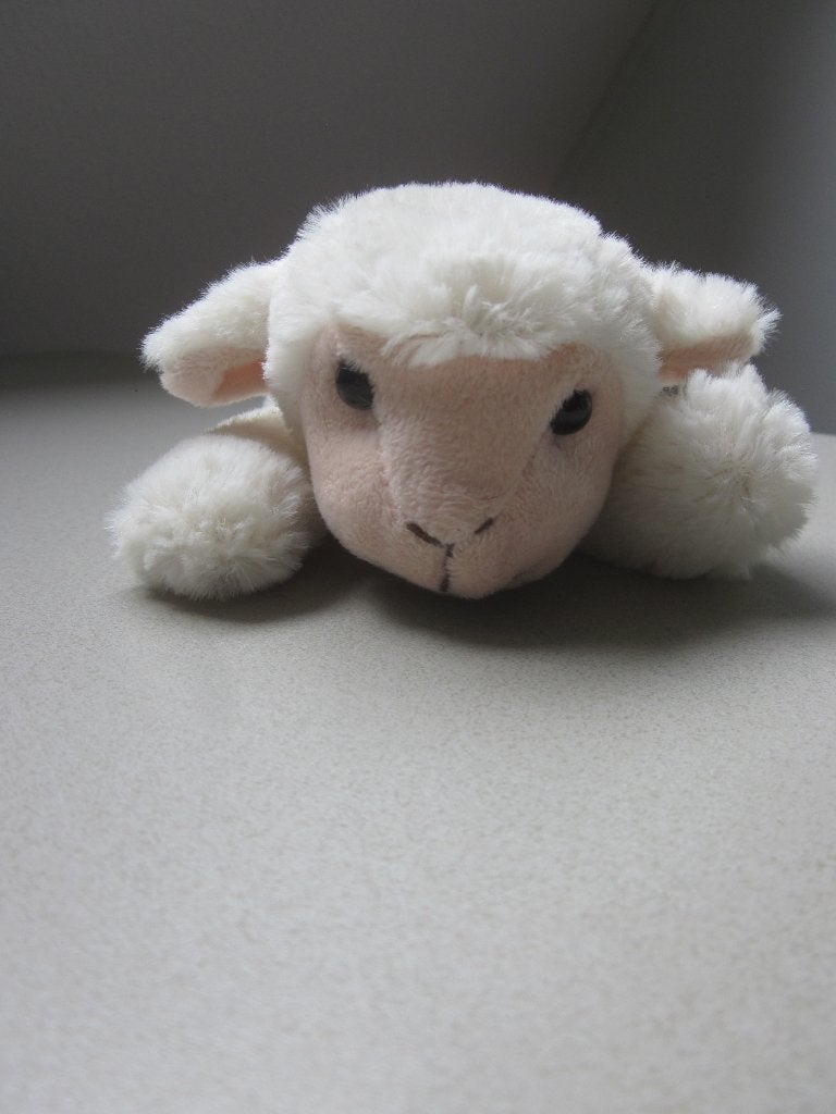 PIA International Soft Toys roomwit zacht pluche schaap lam, Overige merken, Overige karakters, Overige typen, Ophalen of Verzenden
