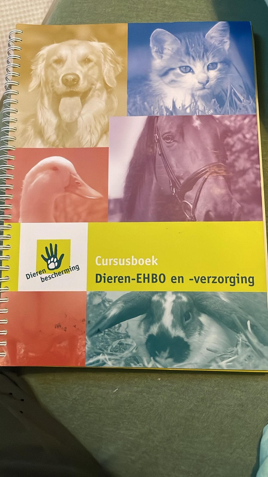 Cursusboek Dieren-EHBO en -verzorging - Dierenbescherming, Ophalen of Verzenden, Zo goed als nieuw, Honden