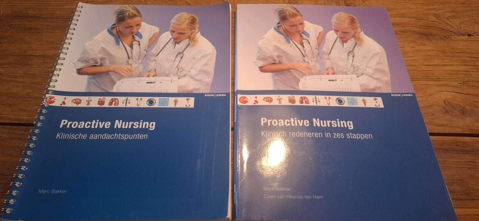 Proactive Nursing - Klinische Aandachtspunten & Redeneren, Boeken, Zo goed als nieuw, Marc Bakker, Gamma, HBO
