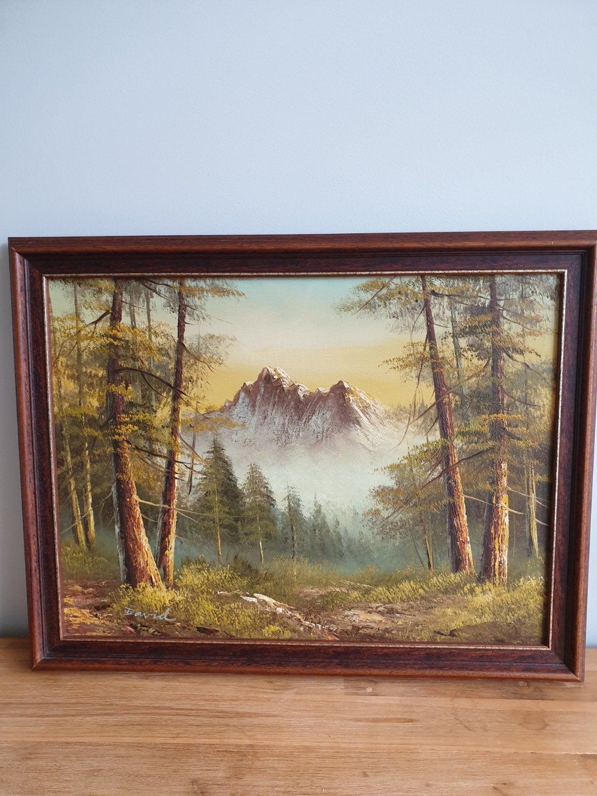 Schilderij met bos en berg afbeelding, Ophalen, Landschap