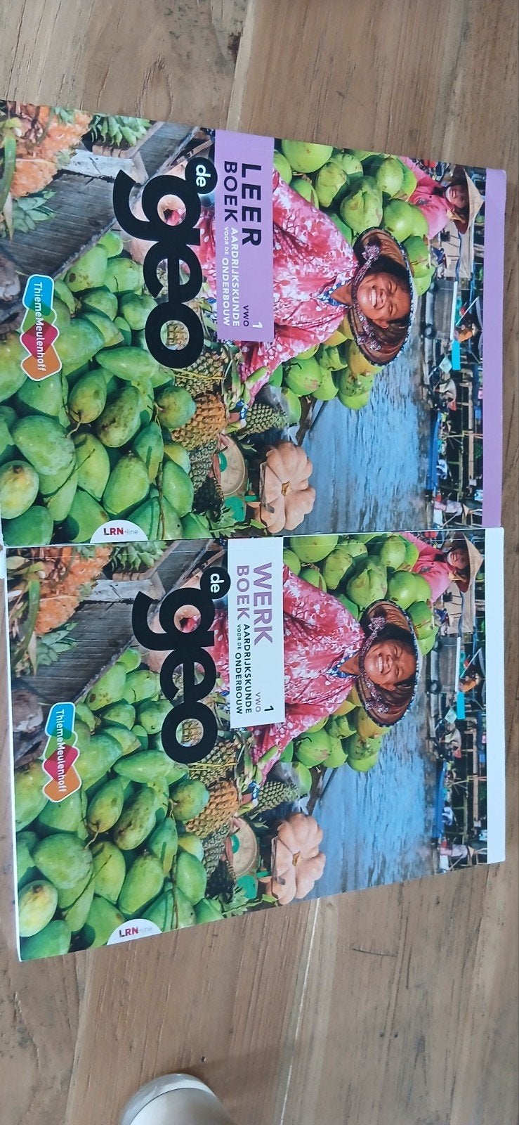 De Geo Aardrijkskunde Leerboek & Werkboek Thiememeulen, VWO, Thiememeulenhoff, Ophalen of Verzenden, Aardrijkskunde