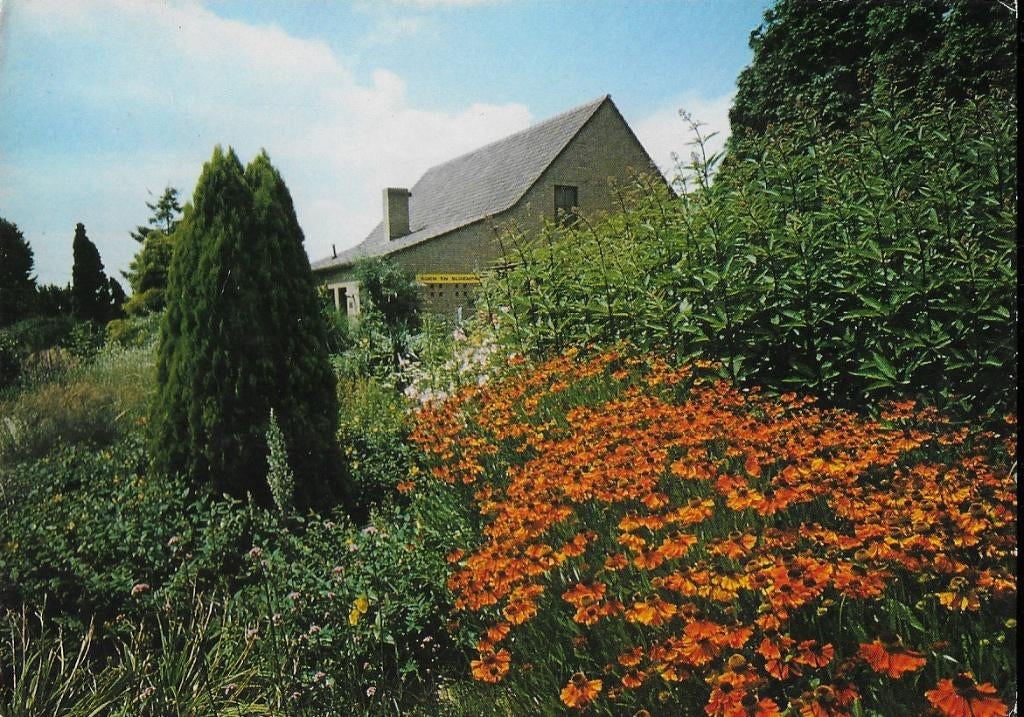 Tegelen botanische tuin ongelopen ansichtkaart ( 782 ), Verzamelen, Ansichtkaarten | Nederland, Ophalen of Verzenden, 1980 tot heden
