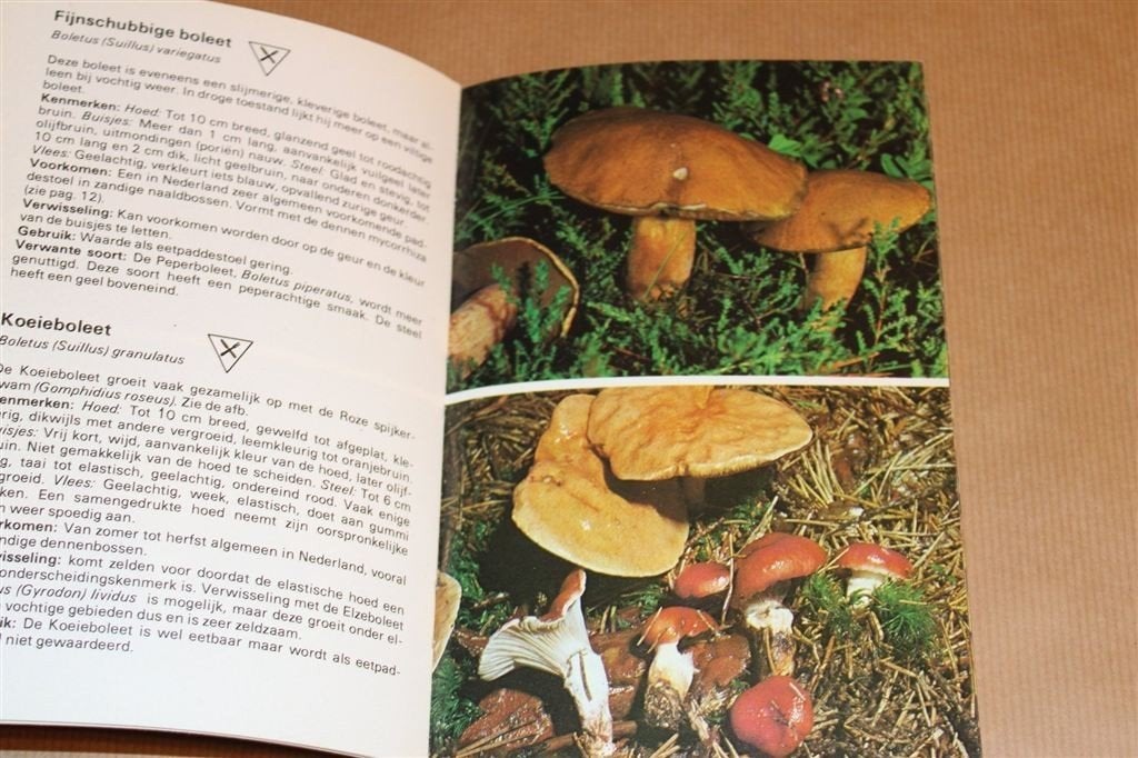 Paddestoelen — Weet Wat U Eet — Herken Dubbelgangers, Ophalen of Verzenden, Gelezen, Natuur algemeen