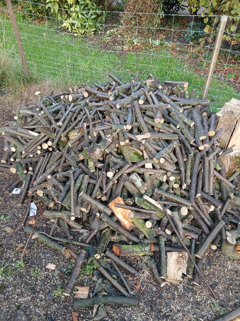 Aanmaak hout esdoorn, Minder dan 3 m³, Ophalen, Overige houtsoorten, Takken