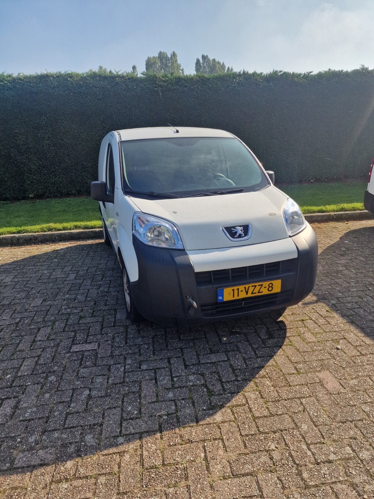 Peugeot Bipper 1.4 HDI 2009, Voorwielaandrijving, 600 kg, 4 cilinders, 400 kg