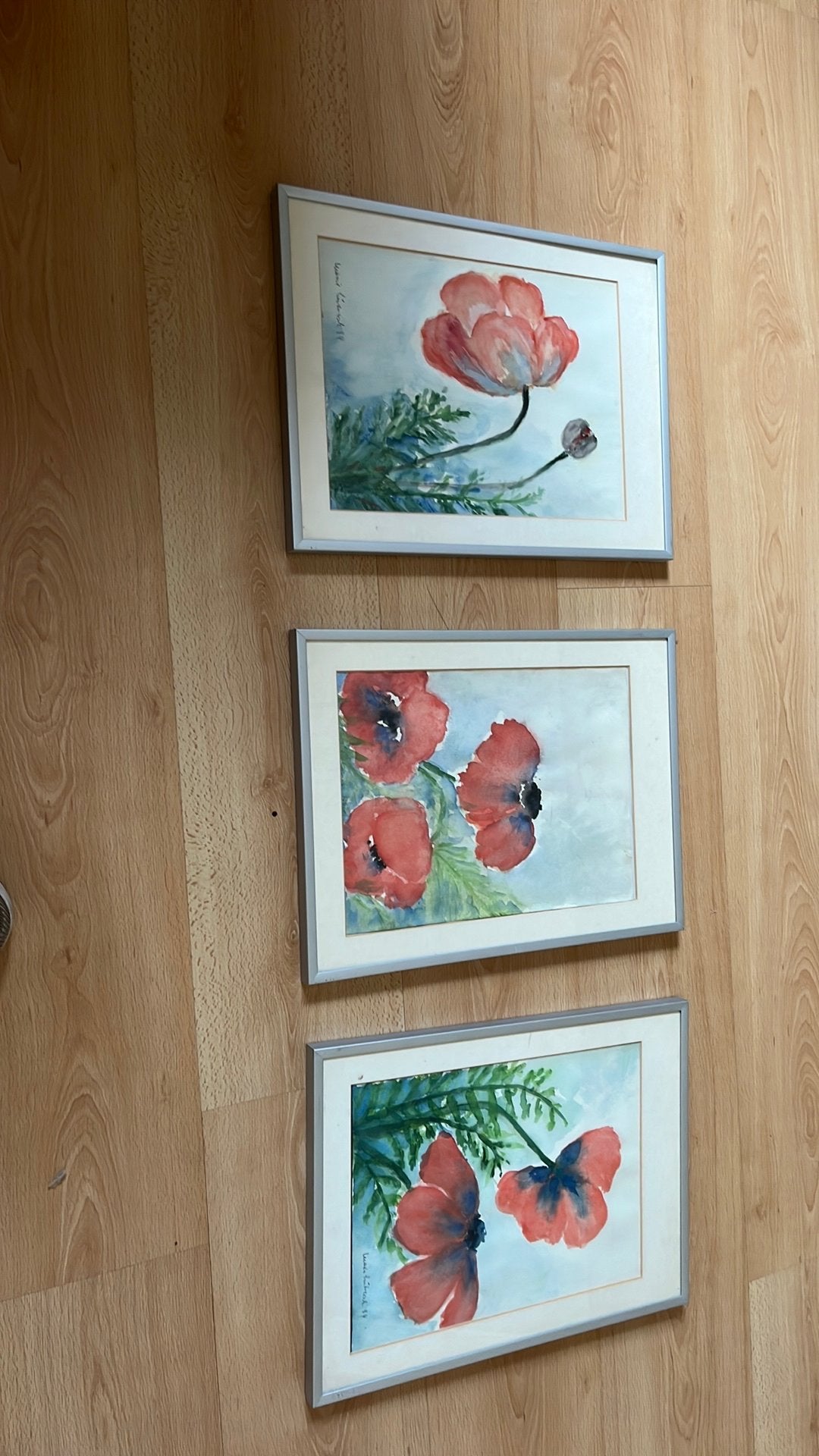 Mooie aquarellen, Ophalen, Zo goed als nieuw