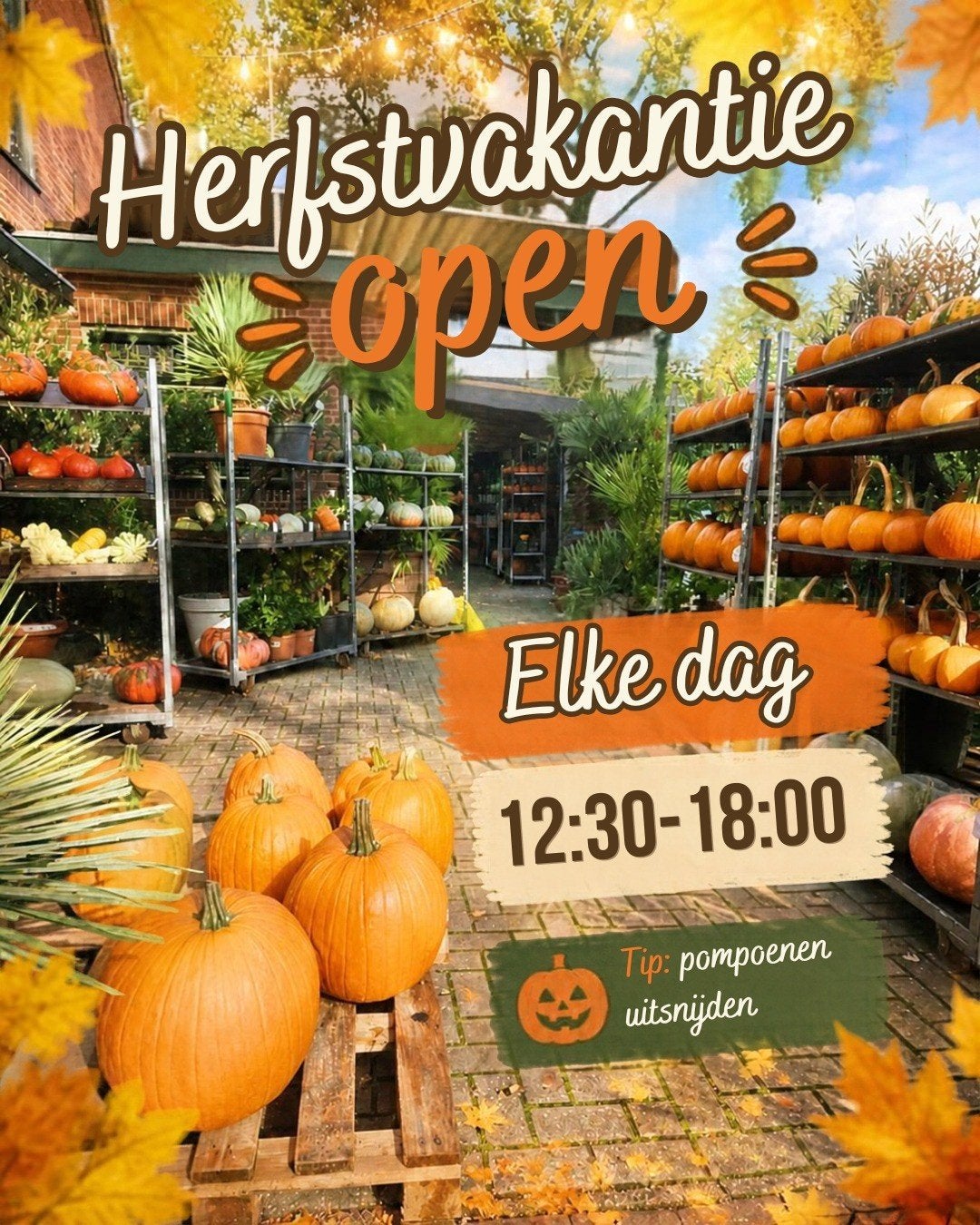 Pompoenen Halloween - eetbaar - sier