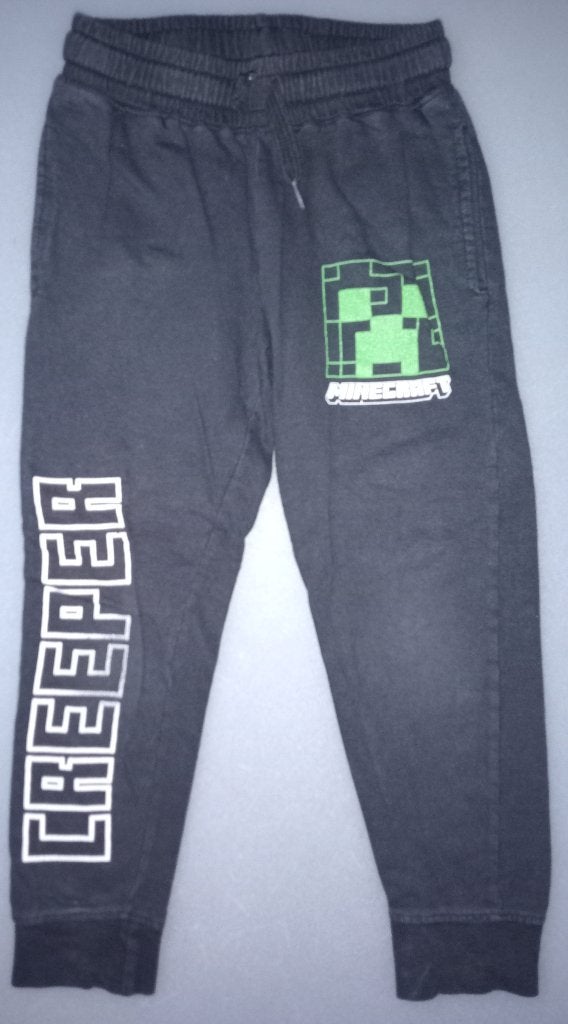 Minecraft broek maat 110-116, Broek, Gebruikt, Minecraft, Ophalen of Verzenden