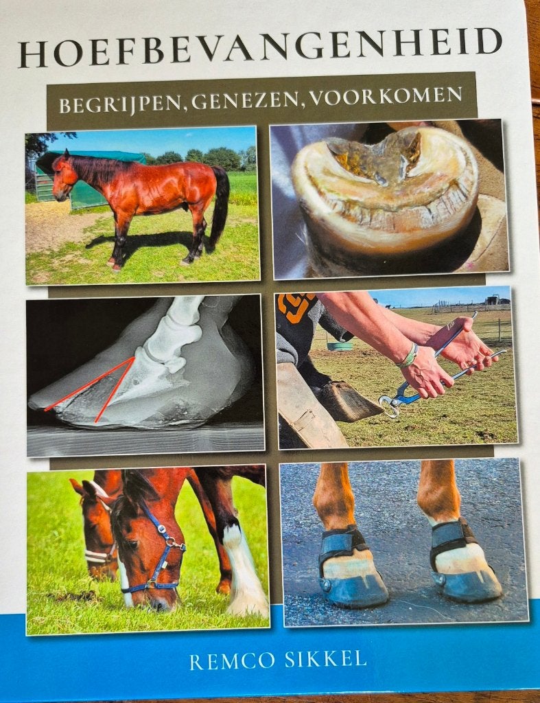 Hoefbevangenheid, begrijpen, genezen, voorkomen, Ophalen of Verzenden, Zo goed als nieuw, Remco Sikkel, Overige onderwerpen