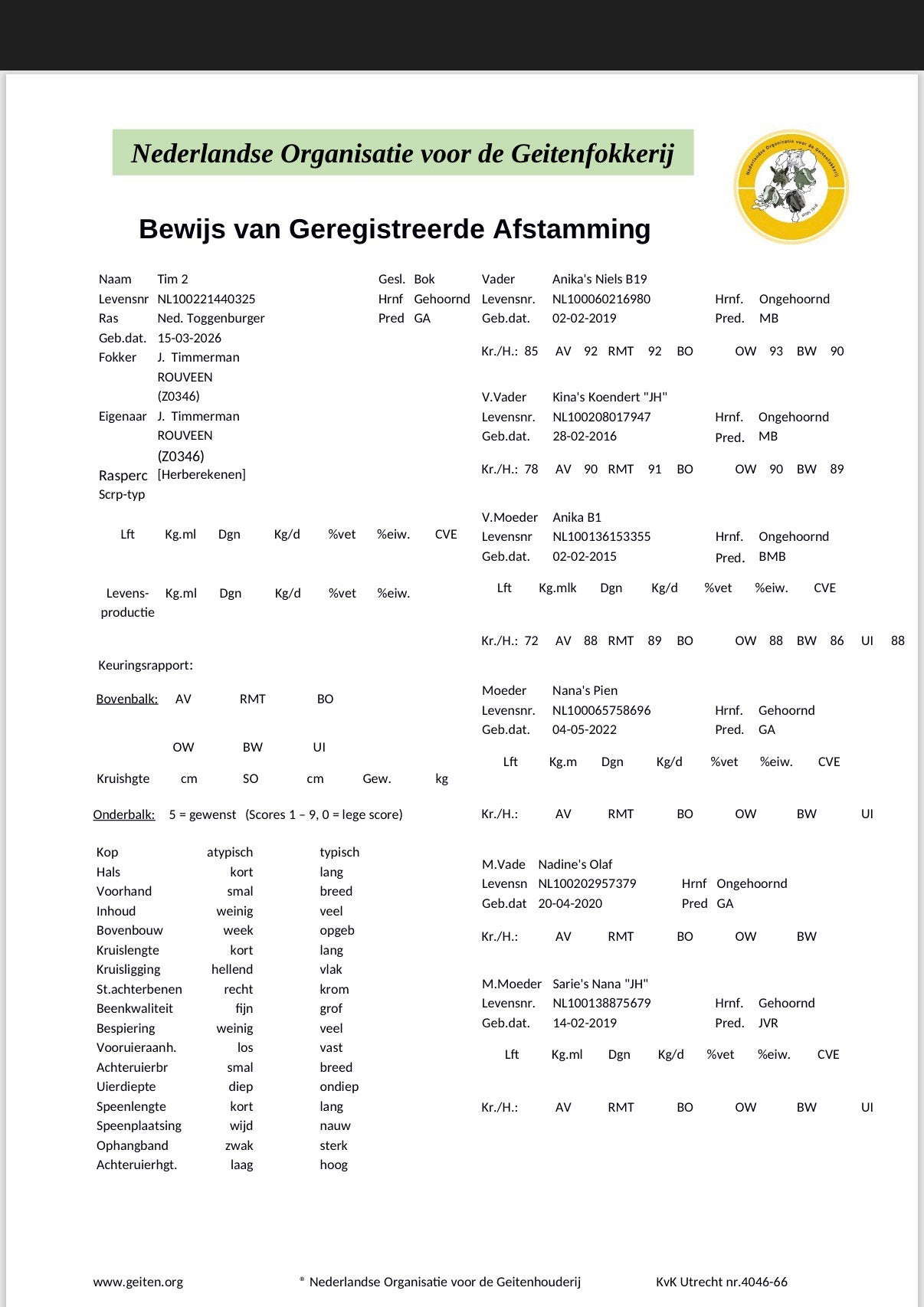 Toggenburger bok, Dieren en Toebehoren, Mannelijk, Geit