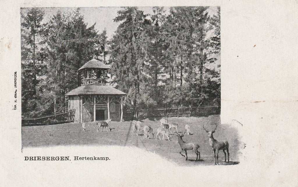 DRIEBERGEN Hertenkamp, Verzenden, Voor 1920, Ongelopen, Utrecht