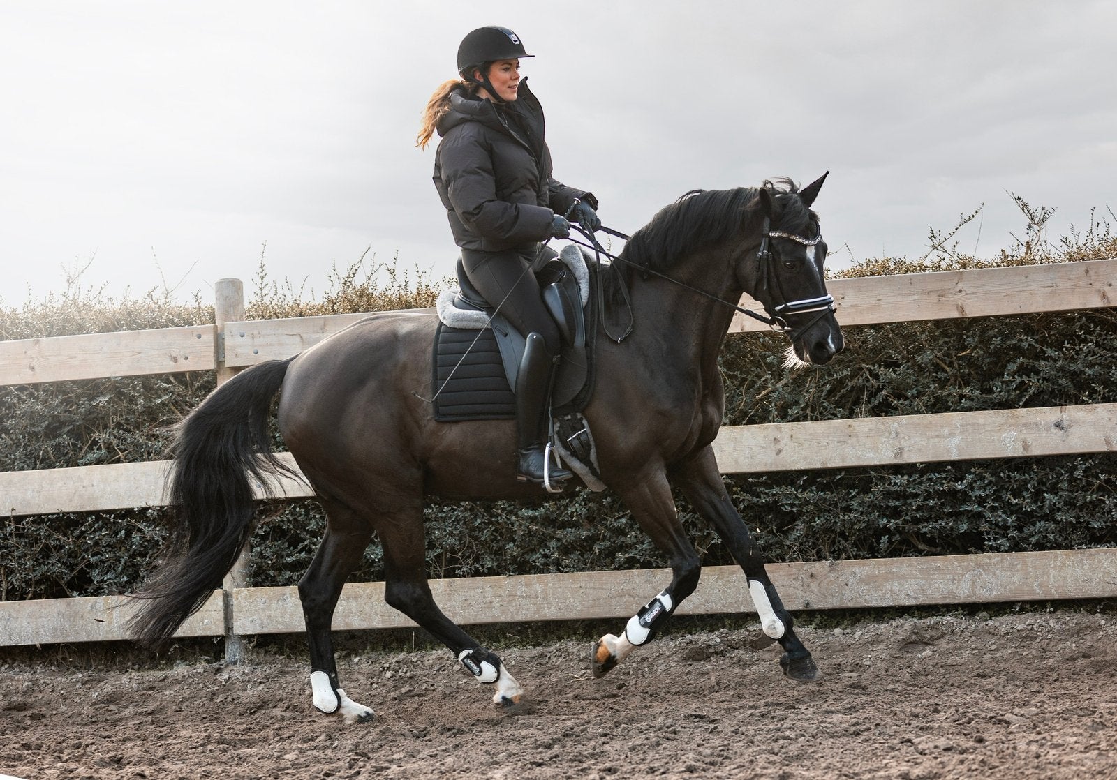 Prachtige betrouwbare dressuurmerrie (Armani x Gribaldi), Dieren en Toebehoren, Merrie, Dressuurpaard