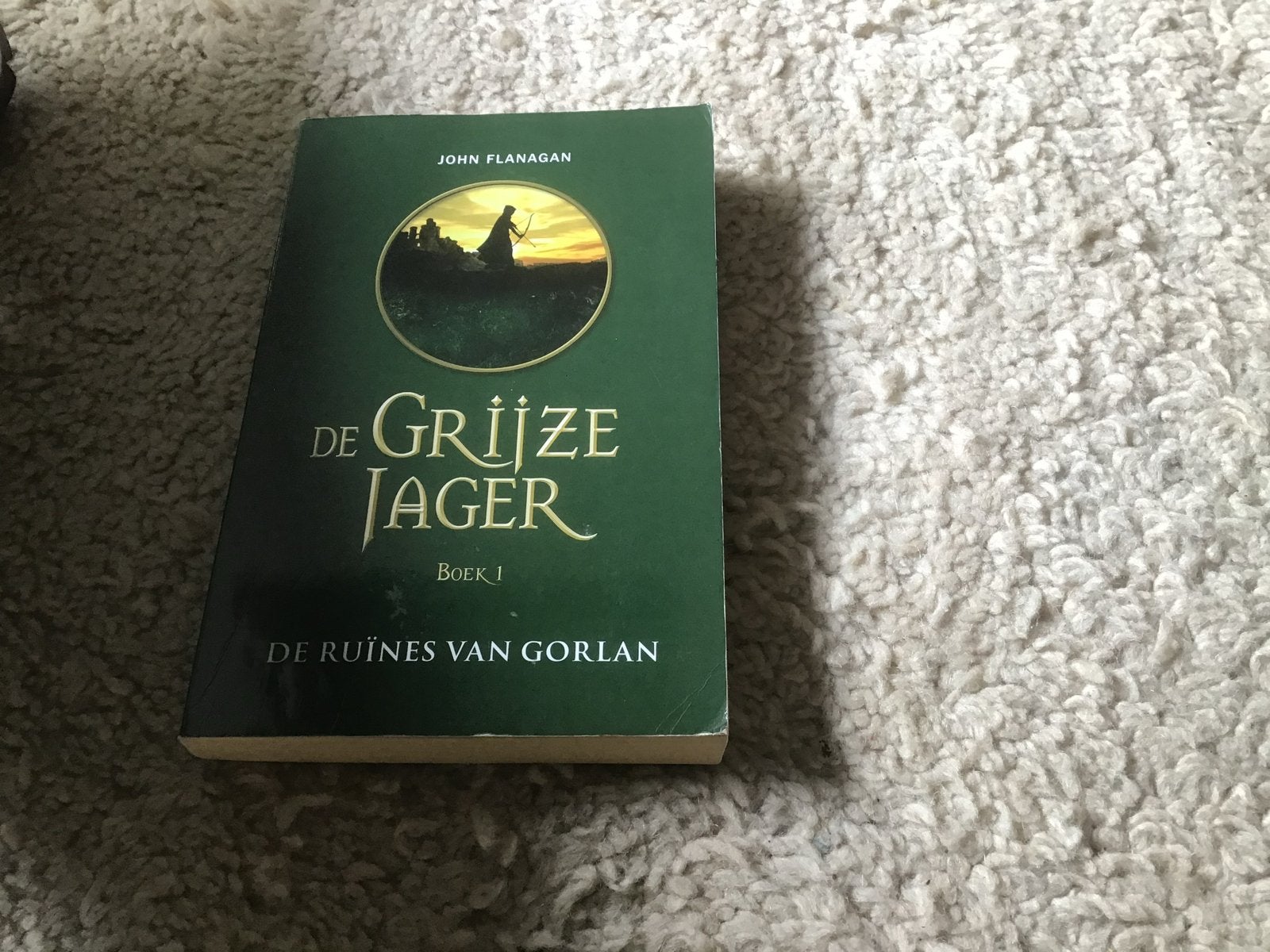 De Grijze Jager: De Ruïnes van Gorlan - Boek 1 opbr giro 555, Boeken, Ophalen of Verzenden, Gelezen