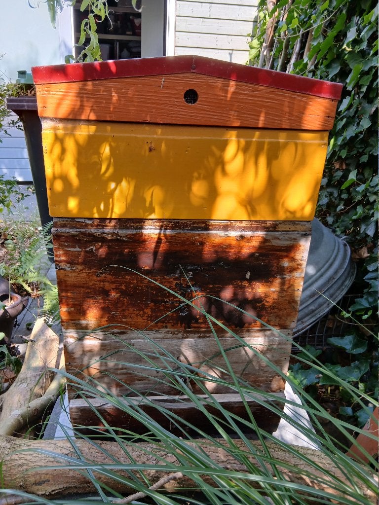 Bijenkast hout, Bijen
